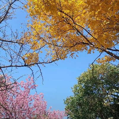 阿刁干货铺