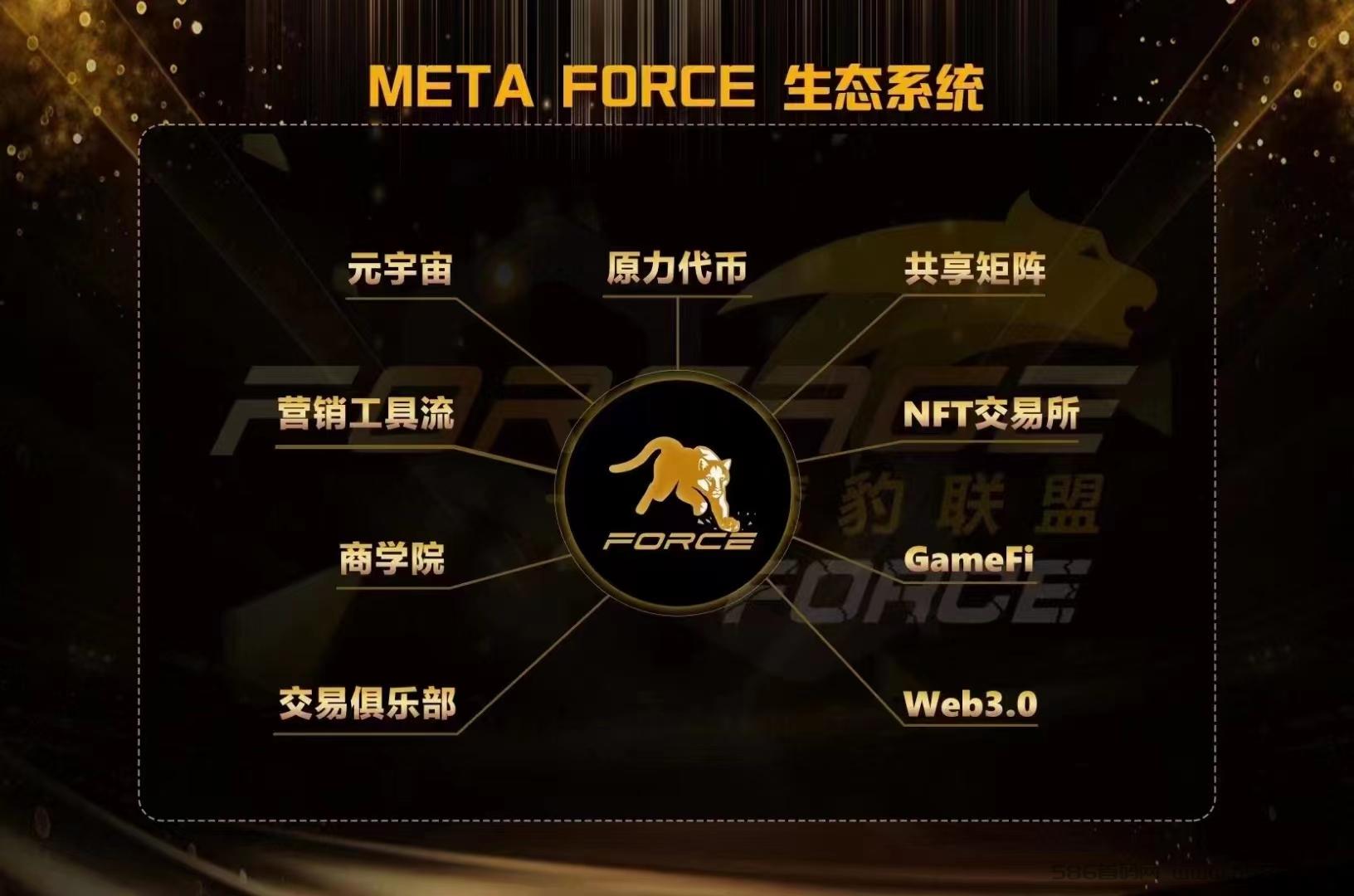 MetaForce 佛萨奇2.0 招募玩家V 100012123