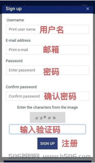 纯纯吃肉外国的项目几分钟1美元