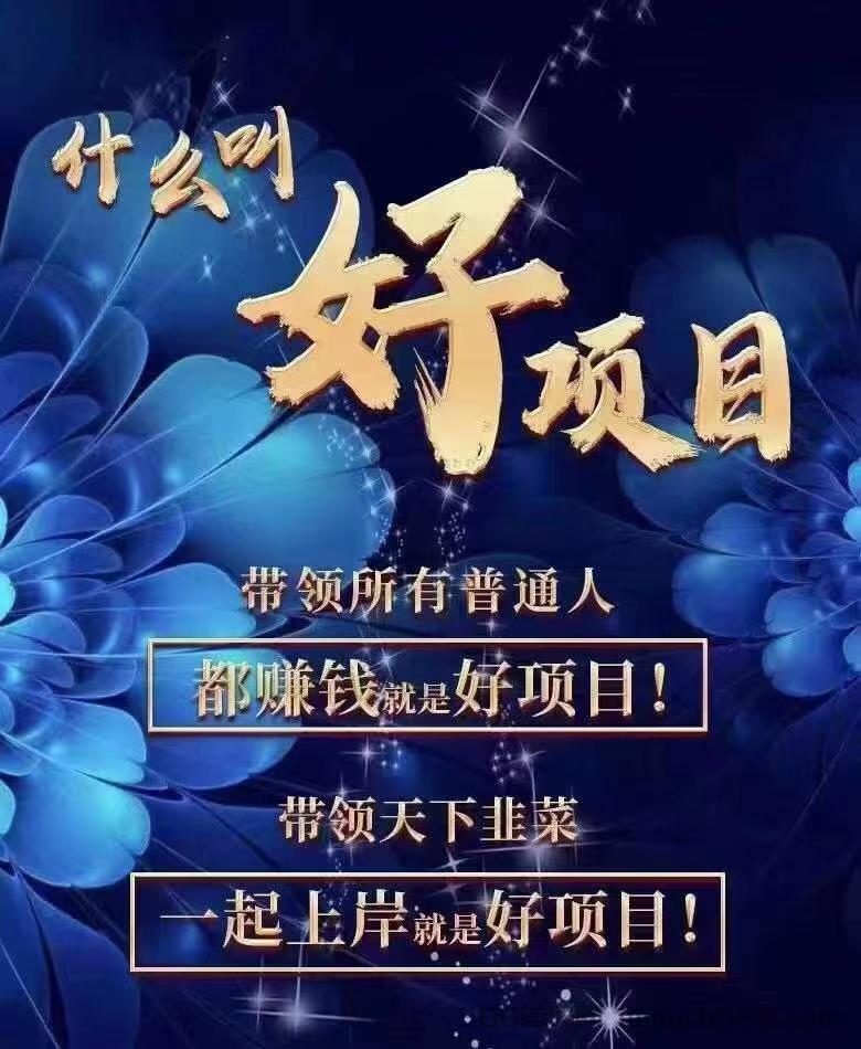 2023年风口项目：哈福投保31体育!