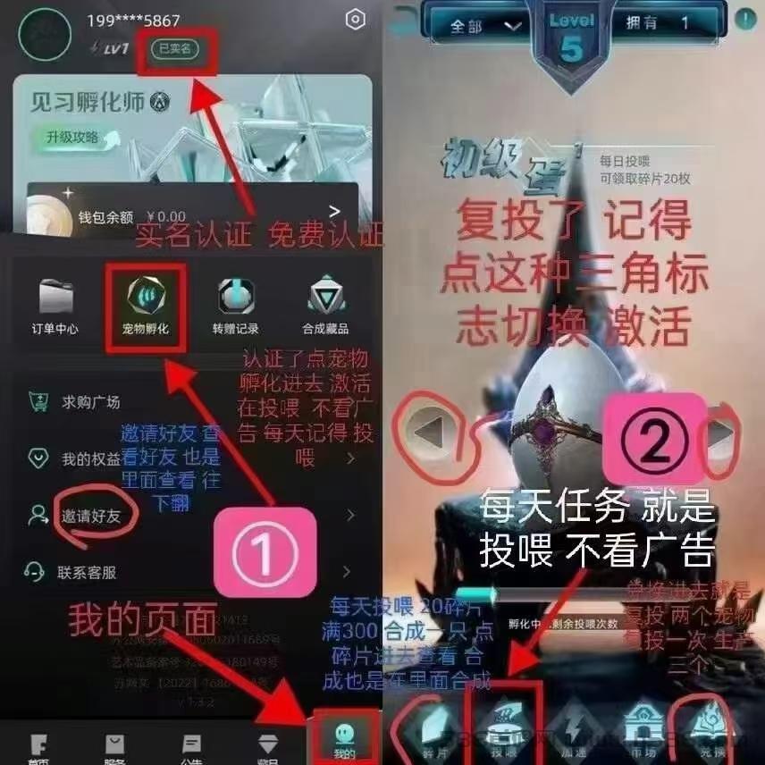 非梵艺术赚钱是不是真的？每天投喂一次，3天得一宠物！