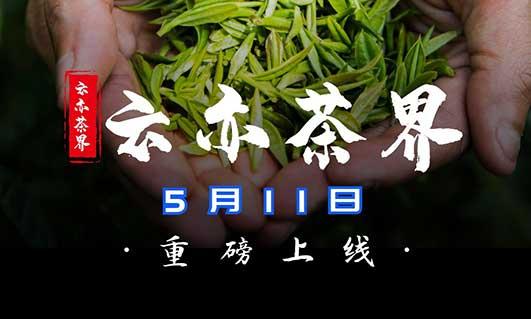 五月最新首码，云亦茶界，实体产业支撑