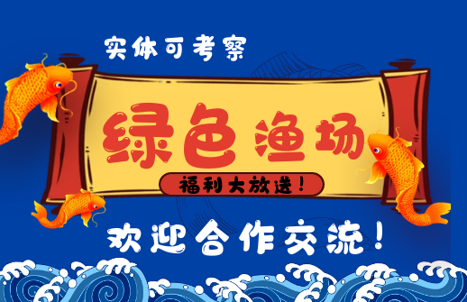 大实体可考察，绿色渔场建设项目盛大启动，欢迎合作交流！