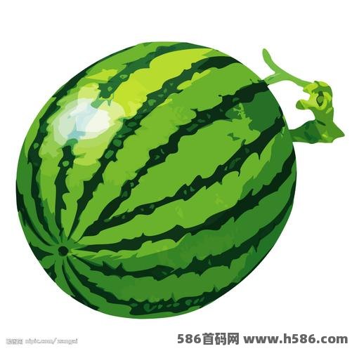 西皮购：零投日入过百！首码种西瓜，轻轻松松打造你的西瓜乐园