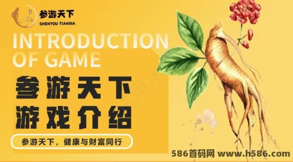 叁游天下2024黑马项目，奖卷+拍拍乐，包回收，复尺置顶 - 首码项目网-首码项目网