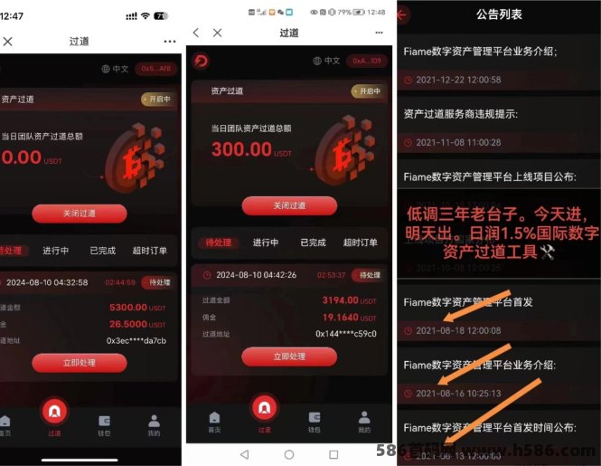 【Fiame国际项目】数字过道:随进随出 ,不锁仓!实力雄厚!