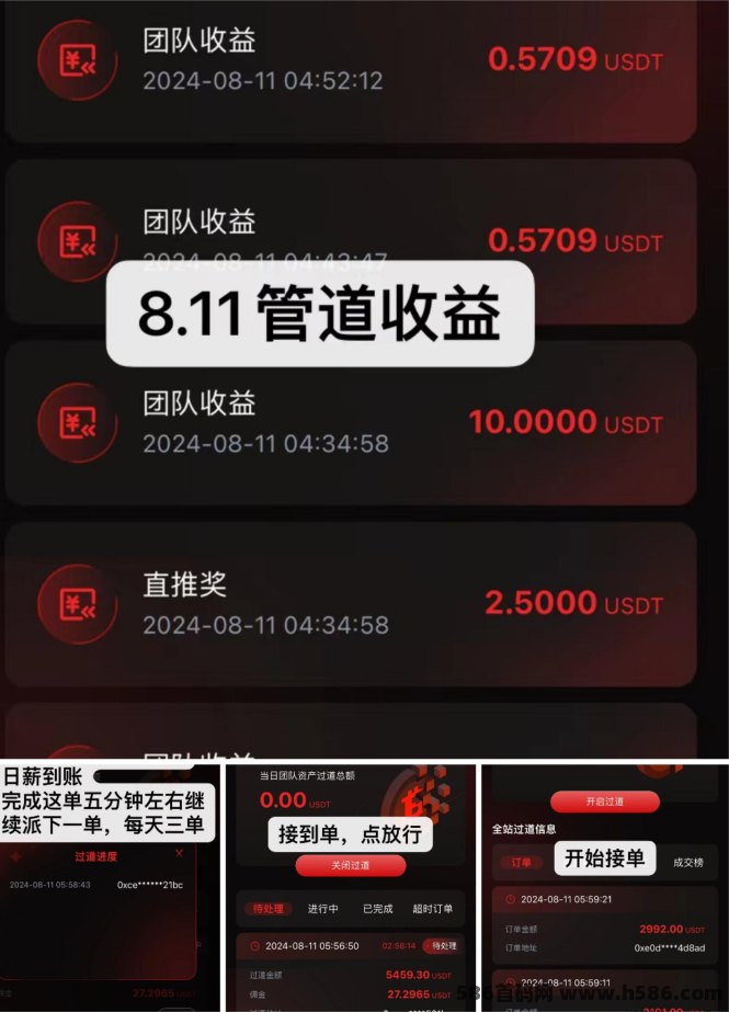 【Fiame国际项目】数字过道:随进随出 ,不锁仓!实力雄厚!