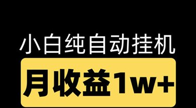 DUODUO小助手：简易任务平台，凭借自动化操作实现单个号日赚200-500+