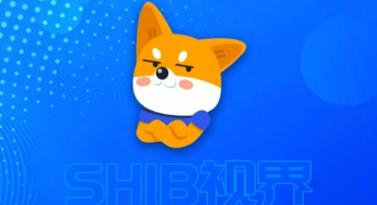 SHIB视界：每天10个广告轻松赚，零撸模式月收600+