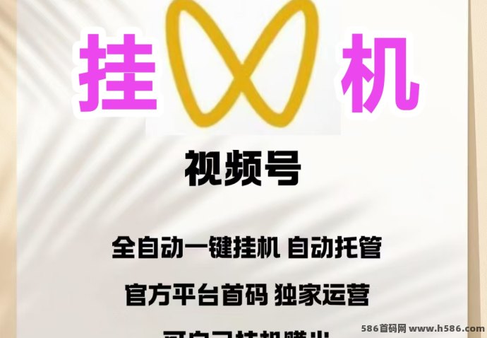 ​一斗米：真正的无人值守副业工具，自动执行视频号互动，轻松赚取稳定收入