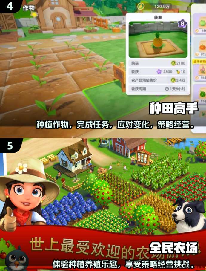 智慧农场首码上线！注测送土豆，种玉米每日收32，小麦每日72，玩法简单收溢高，适合长期布局！