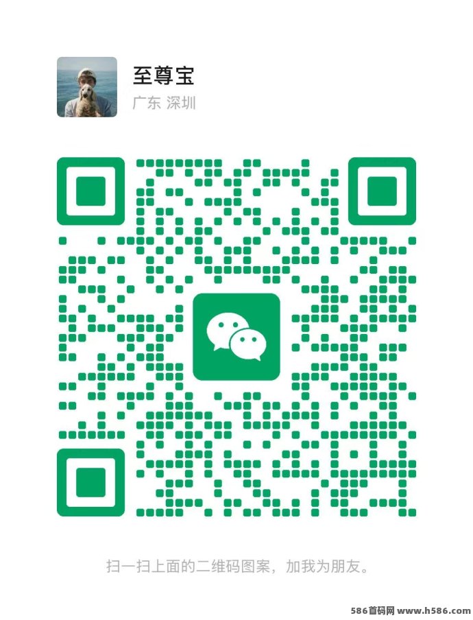 2025黑马项目！凤凰潮等升级版，综合性生态平台引领创新潮流