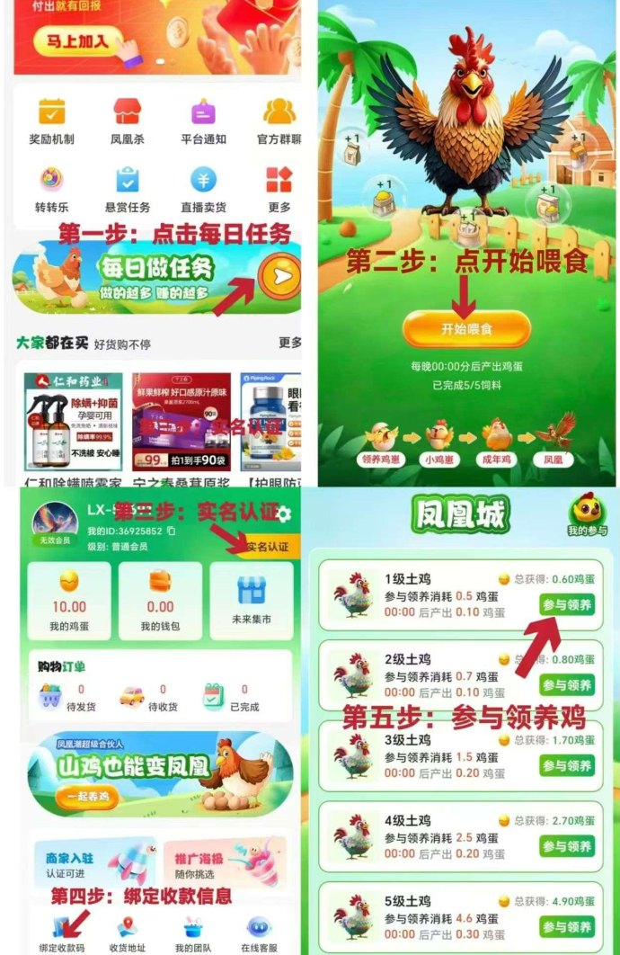 凤凰城首码：养鸡蛋赚稳定收溢！