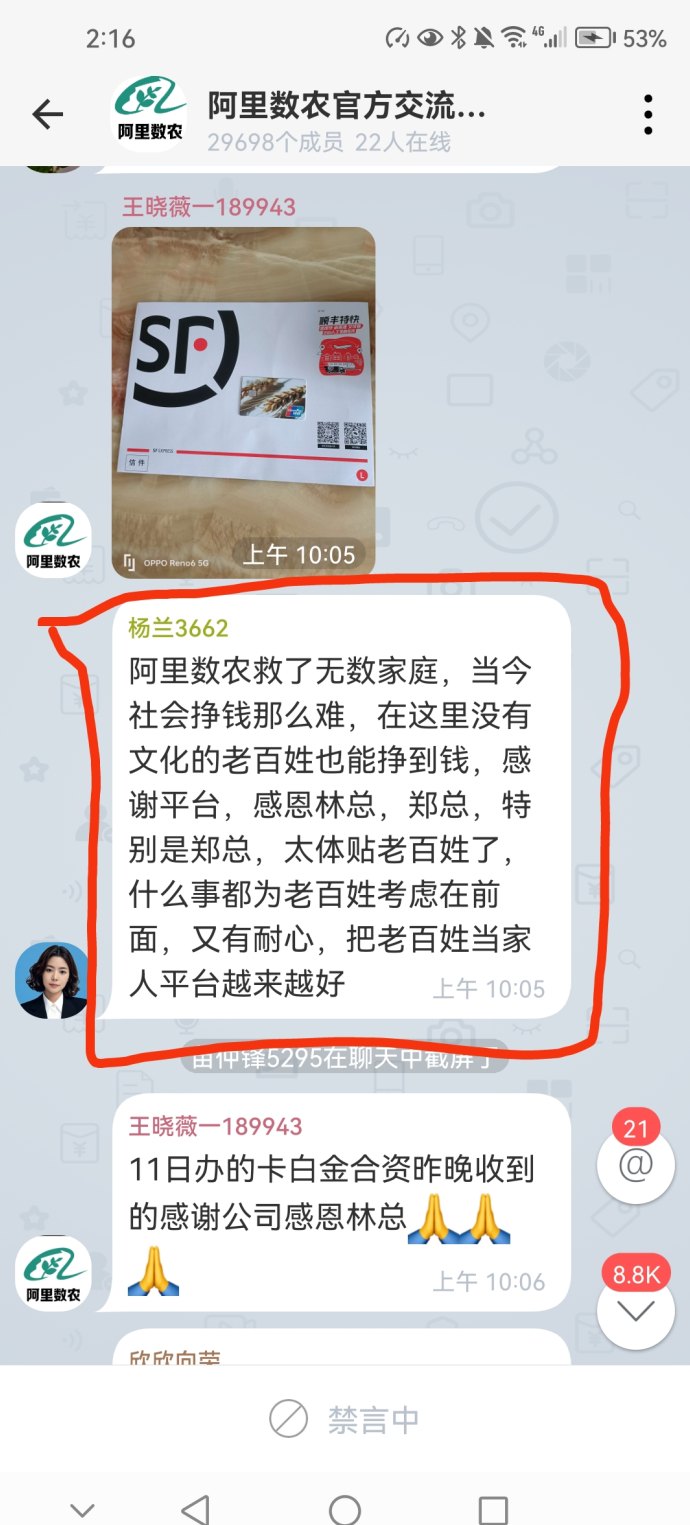 阿里巴巴数字农业数农国际：数字技术助力乡村振兴！
