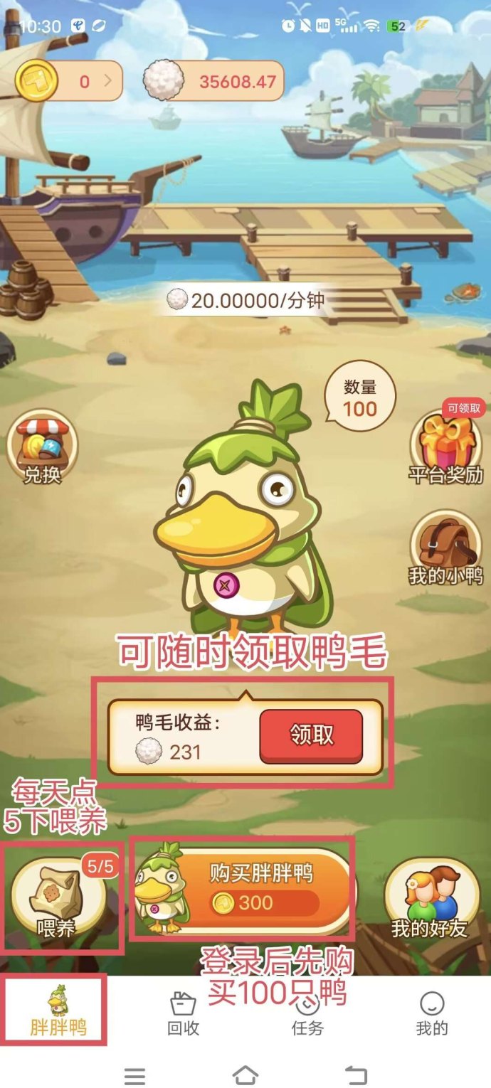 ​胖胖鸭首码上线，零广告零任务轻松养鸭赚收溢攻略！