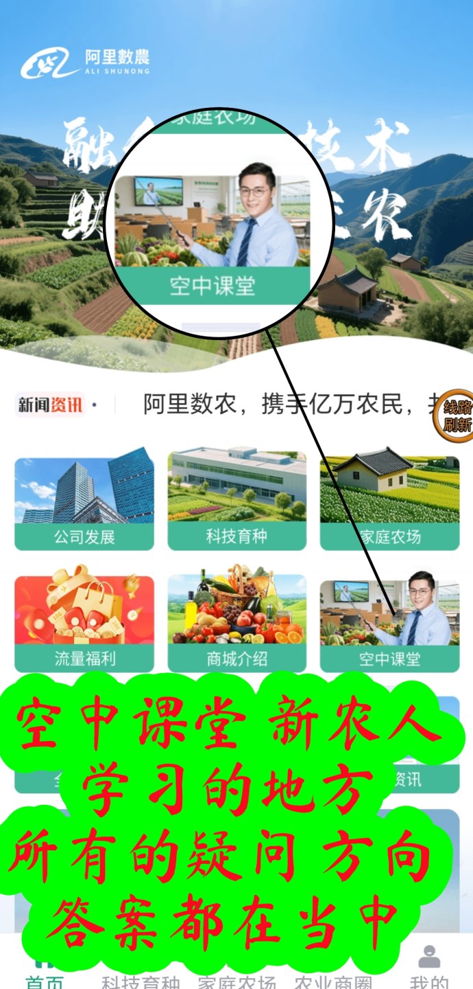 阿里巴巴数字农业（数农国际）：数字技术赋能乡村振兴，零门槛参与共享亿万股权！