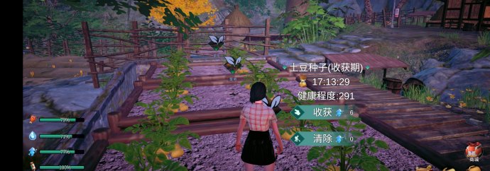 魔力城市：奇幻经营指南：种植奇蔬、掘金山林、打造你的商业帝国