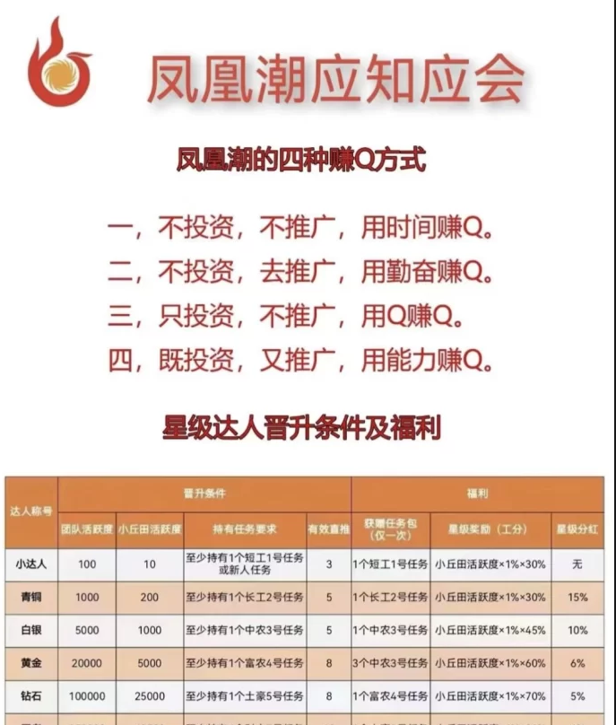 数航商道快赚平台深度解析，多元参与模式，时间与资源灵活变现新思路
