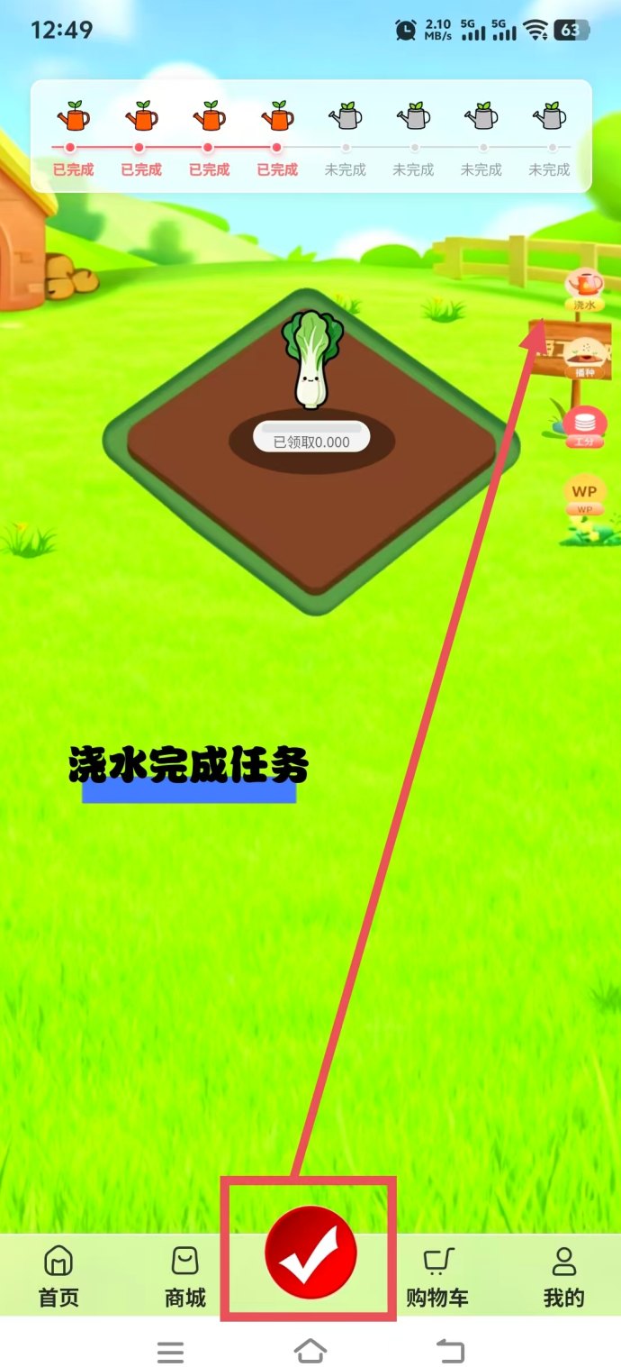 数航商道快赚平台深度解析，多元参与模式，时间与资源灵活变现新思路