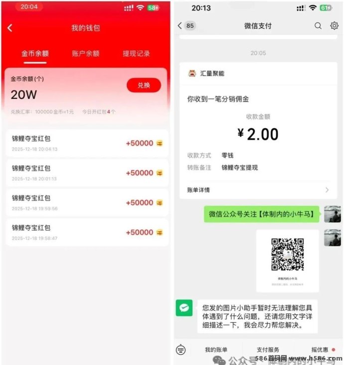 锦鲤夺宝：看广告轻松赚，双端可玩零门槛新选择！