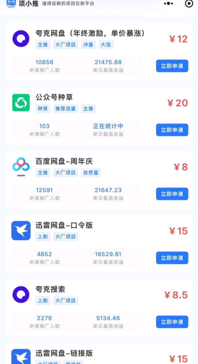 项小推攻略：一手渠道助你整合流量！普通人也能把流量变现！