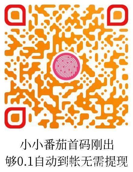​小番茄老项目解析！自助结算轻松提取，收溢稳定长久