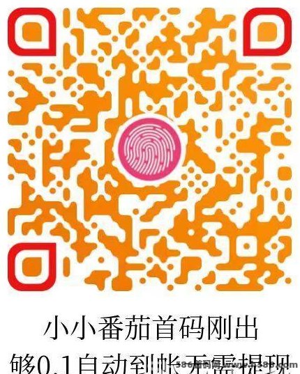 小番茄老牌项目玩法解析：纯广告模式+自动结算机制，轻松积累零花收溢更省心