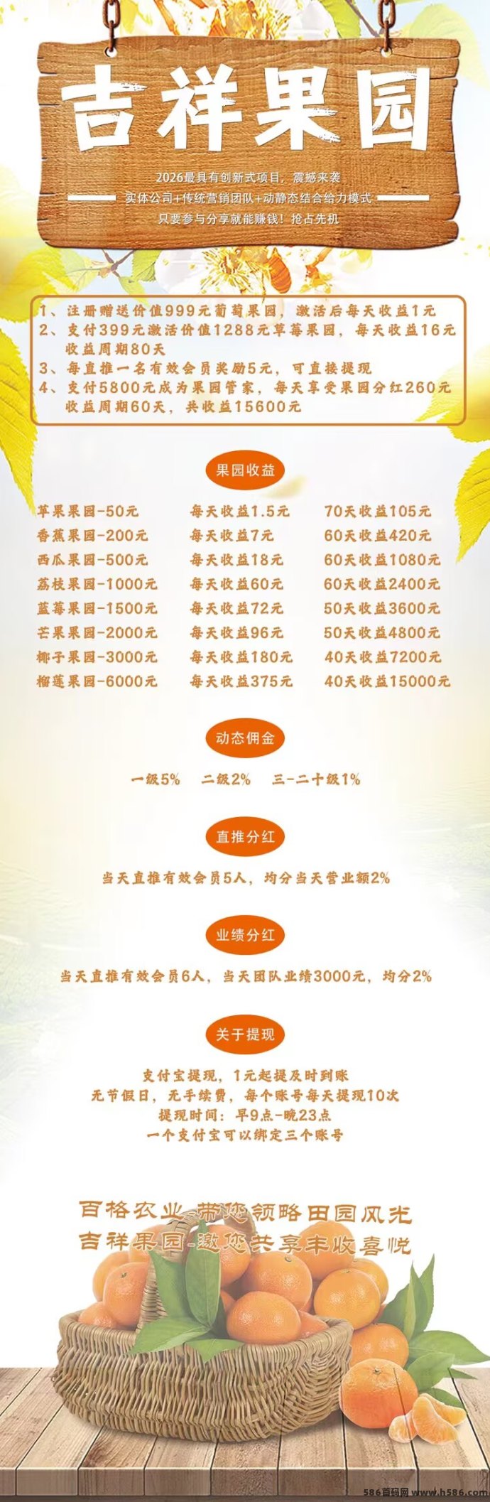 吉祥果园每日自动收溢2圆，1圆即可秒提，团队裂变轻松赚！