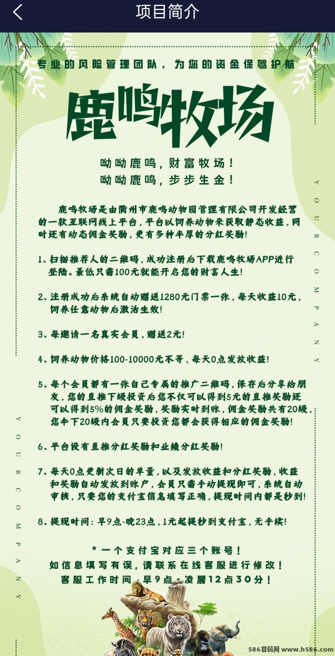 鹿鸣牧场：2026创新式动物领养平台上线