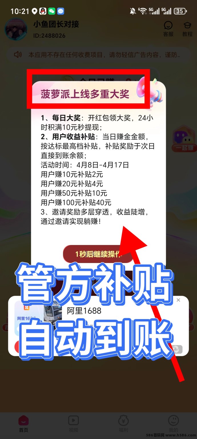 菠萝派夺宝新品上线：顶包40万+10米奖励，团队无限收溢！