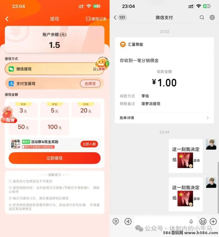 菠萝派广告赚米攻略：安卓苹果都能玩，新出黑马人人可赚！