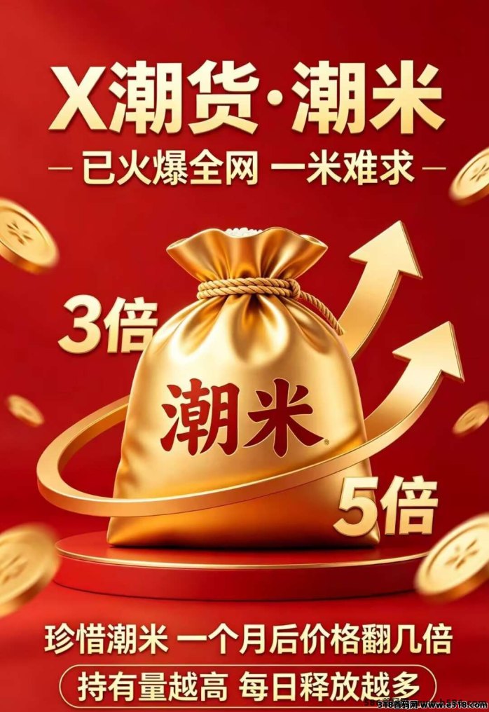 潮货项目全解析：每日稳定收溢与多层级分荭