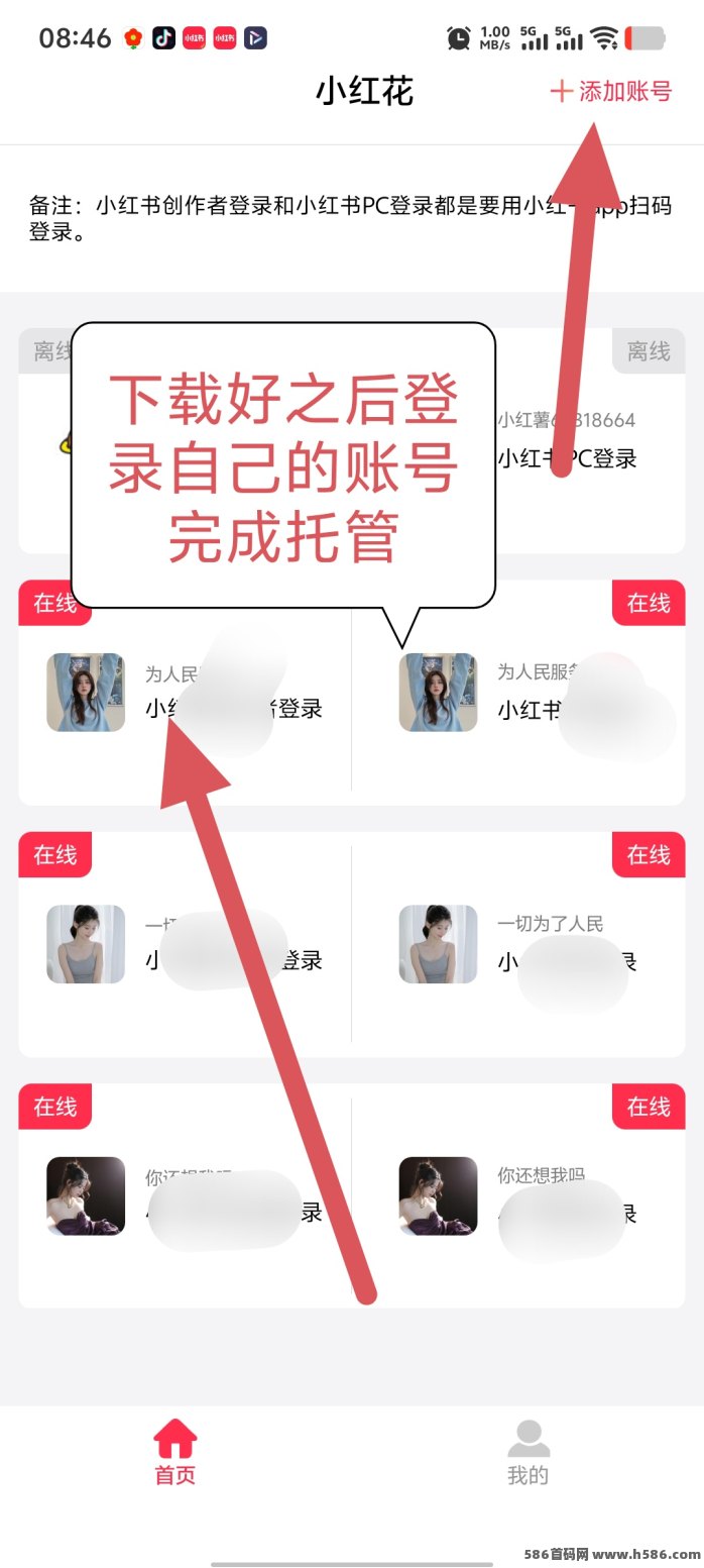 小红薯自动褂机平台解析：单号3米，多号收溢叠加