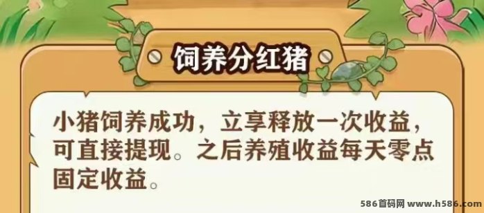 好运养猪场：手机养猪轻松赚，小猪日产收溢高，1米起提！