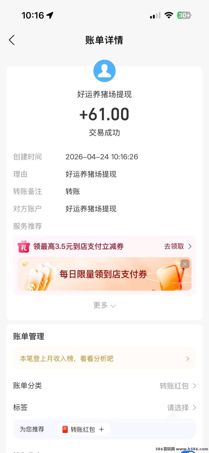 好运养猪游戏怎么玩？每天固定收溢轻松赚零花钱！