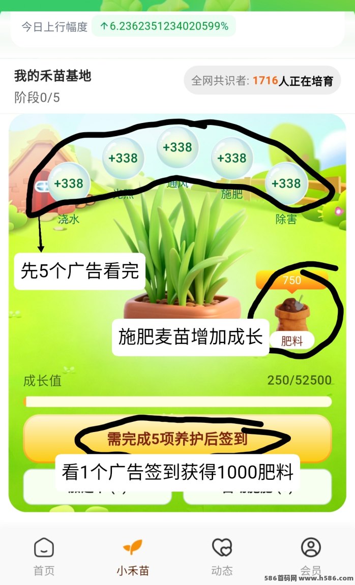 蝉书优选圈圈模式+蛋蛋星球三台组合，零基础可操作，五大收溢来源主动+被动双向收溢！