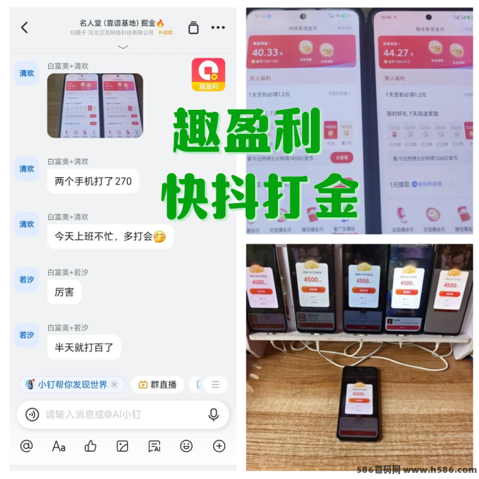 趣盈利多版块多收溢模式，稳定运营6年，招募团队长，长期副业！