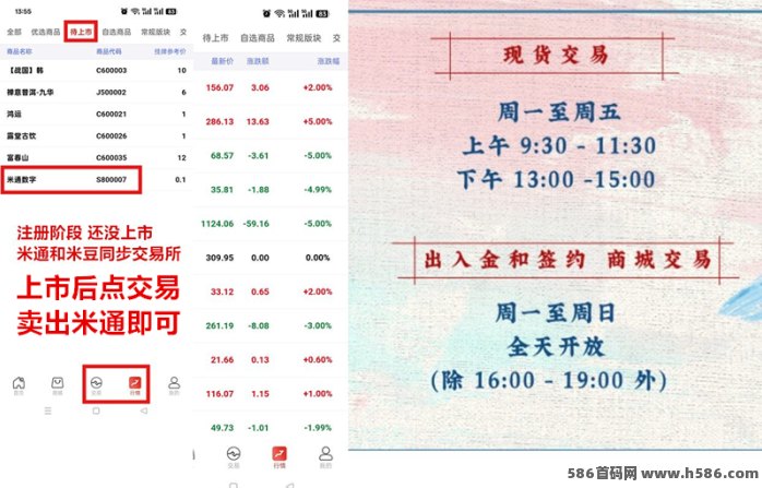 米通数字送1000金，限时福利！速来抢名额！
