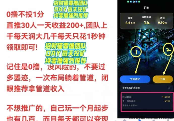 DAY副业，0成本高收溢，每天自动润米！