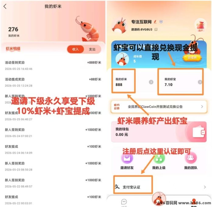 全民养虾玩法上线，零门槛喂养成长体系，轻松积累每日收溢！