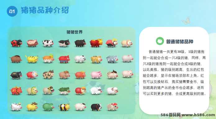 首码梦幻养猪上线！签到合成玩法，包回收！