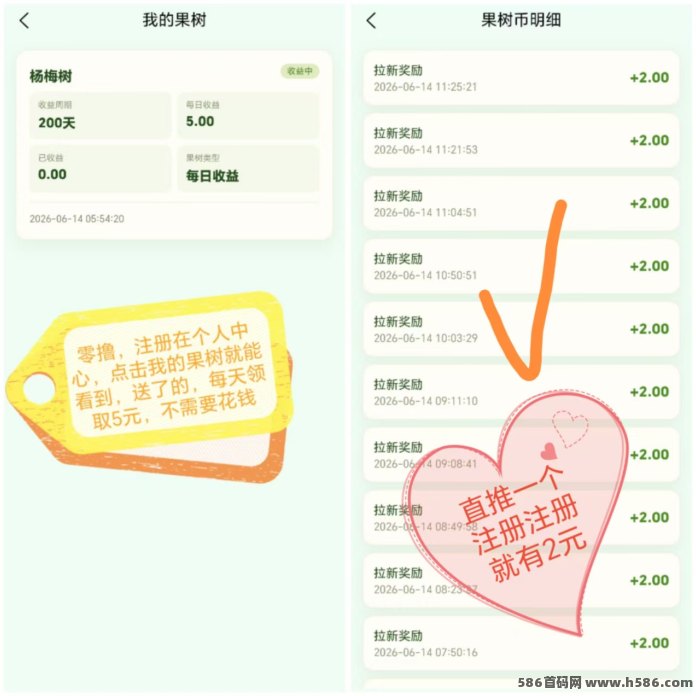 鸣鑫果园今日首码：免费送杨梅树，每晚12点躺拿分荭，1元起提秒到！