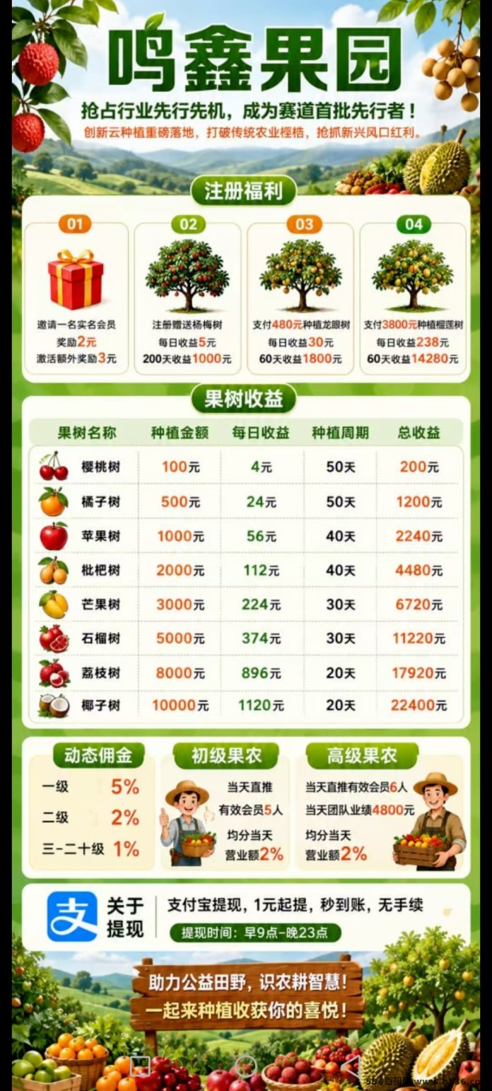 鸣鑫果园今日首码：免费送杨梅树，每晚12点躺拿分荭，1元起提秒到！